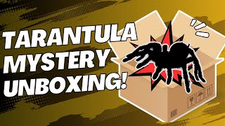 Mystery Tarantula Unboxing From TheSpider Shop | What Did We Get?! | Spooderpods