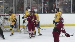 Jr Coyotes at AZ Bobcats U16 AAA; 2016-12-10