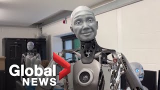 Human-like robot 