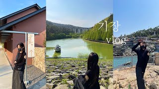 Busan Gijang Travel VlogㅣHaedong YonggungsaㅣYongso Well-being ParkㅣSame-day tripㅣ