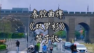 最好听的秦腔曲牌《双罗衫》笛子版