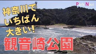 観音崎公園 | 潮騒をききながらピクニック