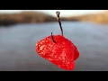 Fishing for catfish with Jello - 6 catfish bait recipes - How to catch catfish Fishing for catfish with Jello - 6 catfish bait recipes - How to catch catfish