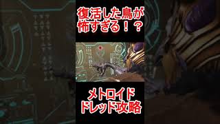 【メトロイド ドレッド】病気をもってそうな鳥人族！？ストーリー実況ゲーム最強解説Switchスイッチ【Metroid Dread】最強ゼロスーツサムスヴァニアフォーレリアエルンガヴォラン#Shorts