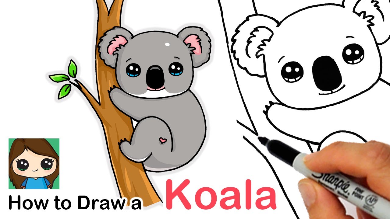 Beautiful Tips About How To Draw A Cartoon Koala Householdother Beautiful Tips About How To Draw A Cartoon Koala Householdother