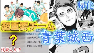 【重要度MAX!?】全国出場してた!?代表入り選手排出!?作中唯一の役割を与えられた青葉城西というチームが深すぎた!!【ハイキュー!!】