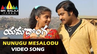 Yamadonga Video Songs | Nunugu Misalodua Video Song | Jr.NTR, Priyamani | Sri Balaji Video
