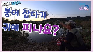 멋진 연밭 둠벙~ 단점은 하나! #곡교천