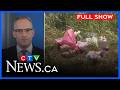 A community in mourning and release conditions breached | CTV News Kitchener at Six for June 15 2026