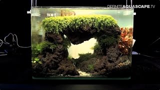 The Art of the Planted Aquarium 2017 - Nano tanks 32-34