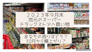 【備え】10月から値上がり？！食品、薬の値段は？薬品不足はある？地元の9月のスーパーの値段はこんな感じです。あなたの近所のスーパーはどうですか？