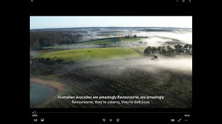 Australian avocado trade video 2022 with subtitles