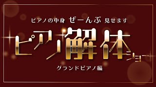 ピアノの中身、ぜーんぶ見せます！ピアノ解体ショーグランドピアノ編【2020楽器フェアオンライン】