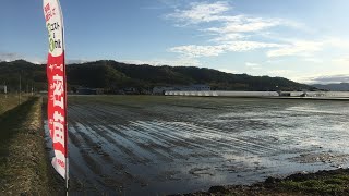 ヤンマー　密苗　オート田植機