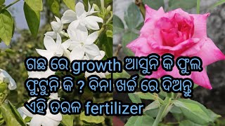 ଗଛ ରେ growth ଆସୁନି କି ଫୁଲ ଫୁଟୁନି କି ? ବିନା ଖର୍ଚ୍ଚ ରେ ଦିଅନ୍ତୁ ଏହି ତରଳ fertilizer❤️