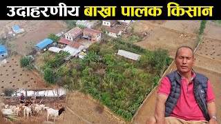 जमिनदार पनि लागे बाख्रा पालनमा - Krishna Gopal Gurung | Okhaldhunga | Rumjatar | Bakhra palan