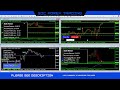 🔴forex ea live sic forex trading stream 02 20 2025