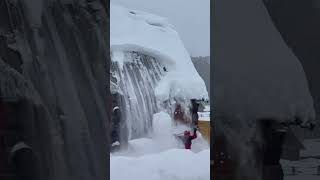 又到了禾木打雪的季节冬天该有的样子 禾木村 雪地里撒欢 旅行 一种很新的玩雪方式