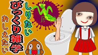 【びっくり雑学】 トイレの花子さんが...！ 完璧なスイーツとは！？ ねば～る君のしりたいおしえたい 怖い雑学  【恐怖の雑学】