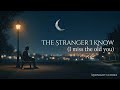 The Stranger I Know - Midnight Echoes (Official Lyric Video)
