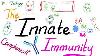The Innate Immunity and the Complement System 🧫