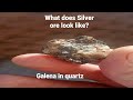 what does silver ore look like find out here