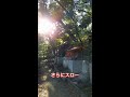 光の玉🌟気づいた人には幸運が訪れます【諏訪神社】 shorts