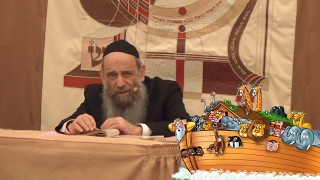 Noah was really 600 years old when he Built the Ark? - Ask the Rabbi Live with Rabbi Mintz