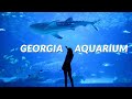 Virtual Tour of Georgia Aquarium in Atlanta - Whale Sharks and Dolphin Shows