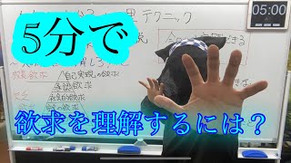 5分でわかる心理学〜マズローの欲求5段階説〜