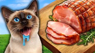 Merv the Talking Cat is SUCH a HAM 😹😹💗