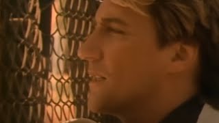 Rod Stewart - Every Beat of My Heart (Official Video)