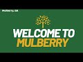 조지아 그곳에 살고싶다 5. 멀베리 mulberry ga