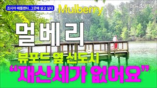 조지아, 그곳에 살고싶다 5. 멀베리 Mulberry, GA