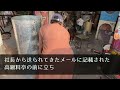 職場の社長令嬢のお見合い相手がなぜか俺。『女性恐怖症なのに…』断ることもできず当日を迎えた→顔を合わせた瞬間「まさか…」最悪の相手が目の前に…