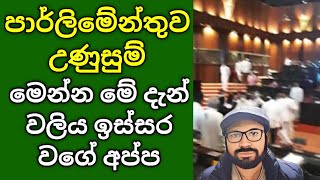 පාර්ලිමේන්තුව උණුසුම්, මෙන්න මේ දැන් වලිය