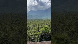 #MountainView 🍀💚🏞️ #nature #ទេសភាពពីភ្នំថ្មដំរី 🐘🦣