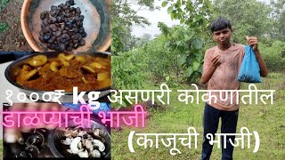 कोकण स्पेशल १०००₹ kg असणारी पावसाने मातीमोल होणारी डाळप्याची ( काजूची भाजी)