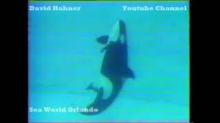 Sea World Orlando Baby Shamu Commercial 1988