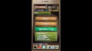 [パズドラ]　超絶進化カーニバル！14連引いてみた！