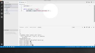 36 While Loop Example with User Input | The Basics Loops