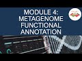 Bioinformatics Workshop 2022 Module 4: Metagenome Functional Annotation