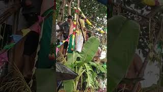 Kavinadu Kumbabhishekam🙏🙏🙏 #Video#