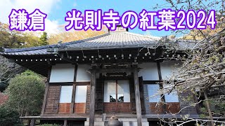 光則寺の紅葉2024  (鎌倉市長谷)