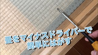 畳をマイナスドライバーではがす