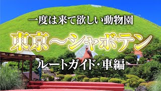 【事前解説】東京から伊豆シャボテン動物公園に行ってみた　車編