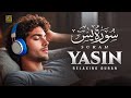 Relax Instantly with most beautiful recitation of Surah Yasin (Yaseen) سورة يس | Zikrullah TV