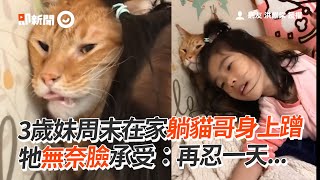 周末地獄😹屁妹躺貓哥身上狂嚕　牠一臉無奈懷疑貓生｜寵物動物｜貓咪｜精選影片