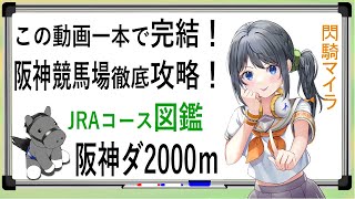 【競馬徹底攻略】阪神ダート2000ｍ 閃騎マイラ競馬場コース図鑑【 #阪神競馬場  #シリウスS #競馬vtuber 】この動画一本で阪神ダ2000ｍ完全攻略！