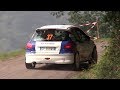 Peugeot 206 Gr.A rally racing - Show, handbrake, crazy driving & on board